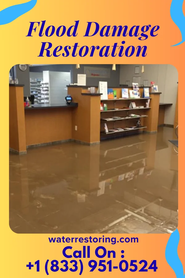Flood Damage Restoration in Homer City, PA