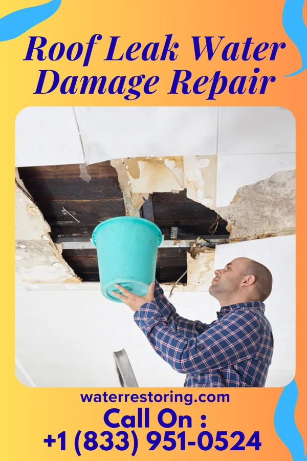 Roof Leak Water Damage Repair in Homer City, PA