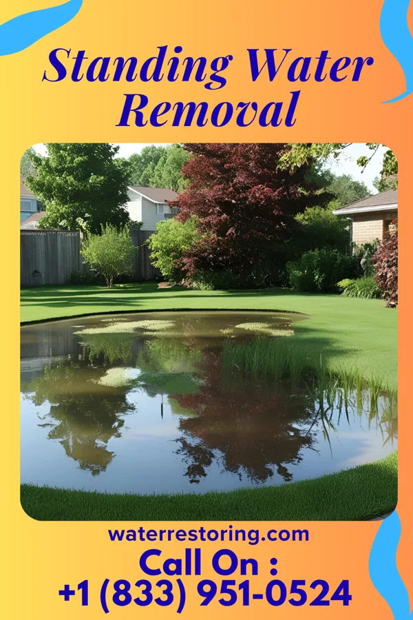 Standing Water Removal in Homer City, PA